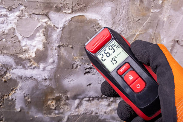 Best Crawl Space Mold Remediation in Stafford Courthouse, VA